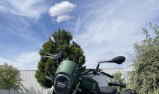 BENELLI LEONCINO 800