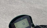 BENELLI LEONCINO 800