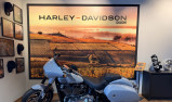 HARLEY-DAVIDSON SOFTAIL SPORT GLIDE 1745