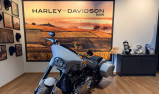 HARLEY-DAVIDSON SOFTAIL SPORT GLIDE 1745