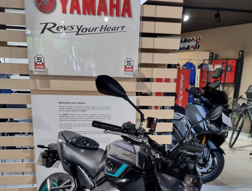 YAMAHA MT-09  Y-AMT