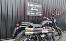 TRIUMPH SCRAMBLER 900 BRIDEE A2