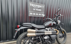 TRIUMPH SCRAMBLER 900 BRIDEE A2