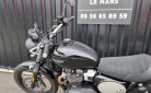 TRIUMPH SCRAMBLER 900 BRIDEE A2