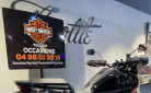 HARLEY-DAVIDSON ADVENTURE PAN AMERICA 1250 SPECIAL