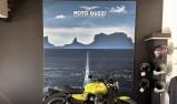 MOTO GUZZI V7 SPORT E5+