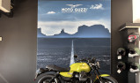 MOTO GUZZI V7 SPORT E5+