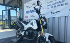 HONDA MSX 125