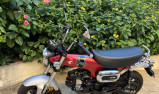 HONDA DAX ST 125