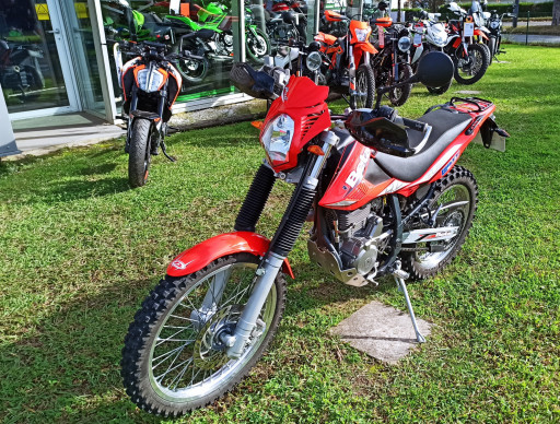 BETA ALP 4.0