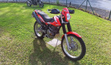 BETA ALP 4.0