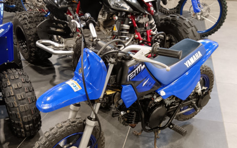 YAMAHA PW50