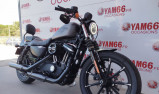 HARLEY-DAVIDSON SPORTSTER IRON 883 ABS - 1er main