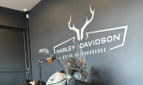 HARLEY-DAVIDSON SOFTAIL LOW RIDER 1745