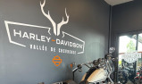 HARLEY-DAVIDSON SOFTAIL LOW RIDER 1745
