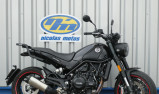 BENELLI LEONCINO 500