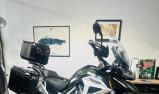 TRIUMPH TIGER 1200 RALLY PRO