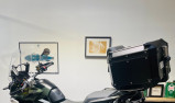 TRIUMPH TIGER 1200 RALLY PRO
