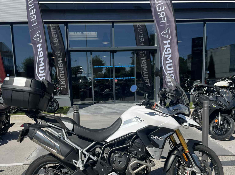 TRIUMPH TIGER 900 RALLY PRO