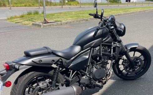 KAWASAKI ELIMINATOR 500 Eliminator
