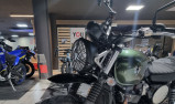 TRIUMPH SCRAMBLER 900