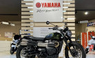 TRIUMPH SCRAMBLER 900