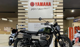 TRIUMPH SCRAMBLER 900