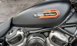 HARLEY-DAVIDSON NIGHSTER SPÉCIAL