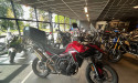 TRIUMPH Tiger 900 GT PRO