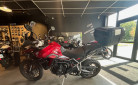 TRIUMPH Tiger 900 GT PRO