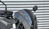 SUZUKI GSX-8S