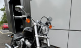 HARLEY-DAVIDSON SOFTAIL STANDARD 1745