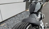 HARLEY-DAVIDSON SOFTAIL STANDARD 1745