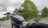 HARLEY-DAVIDSON SOFTAIL STANDARD 1745