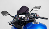 SUZUKI - GSXR 250