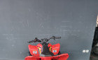 CF MOTO cforce 110 basic