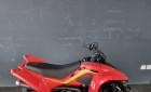 CF MOTO cforce 110 basic