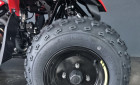CF MOTO cforce 110 basic