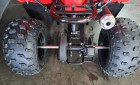 CF MOTO cforce 110 basic