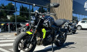 TRIUMPH TRIDENT 660 Eligible A2