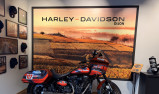 HARLEY-DAVIDSON SOFTAIL LOW RIDER 1923 ST