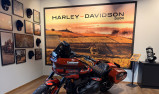 HARLEY-DAVIDSON SOFTAIL LOW RIDER 1923 ST