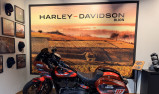HARLEY-DAVIDSON SOFTAIL LOW RIDER 1923 ST