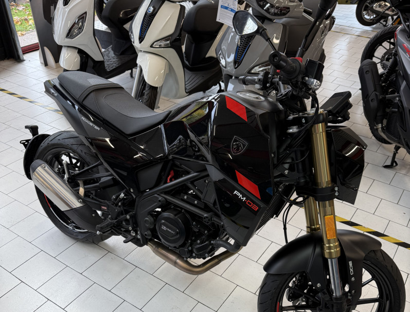 PEUGEOT pm-03 300 cc