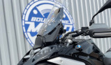 BMW R 1300 GS 