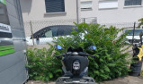 KYMCO AK 550 1ER MAIN 25661