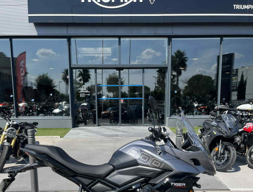TRIUMPH TIGER SPORT 800
