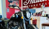 INDIAN SPRINGFIELD DARK HORSE 116CI