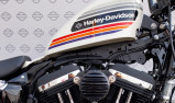 HARLEY-DAVIDSON SPORTSTER 1200 FORTY EIGHT SPECIAL