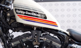 HARLEY-DAVIDSON SPORTSTER 1200 FORTY EIGHT SPECIAL
